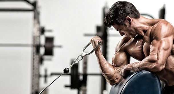 Treino de braços avançado para bíceps e tríceps gigantes
